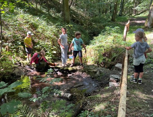 Sommercamp